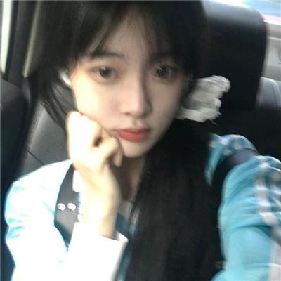汪汪忠臣藏