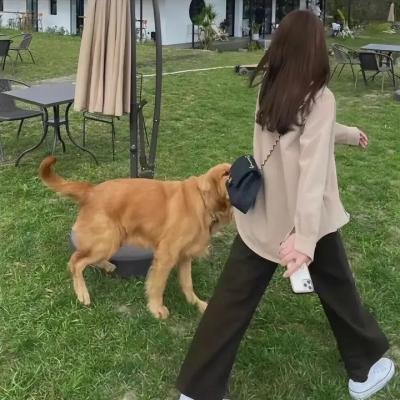 侠客无名