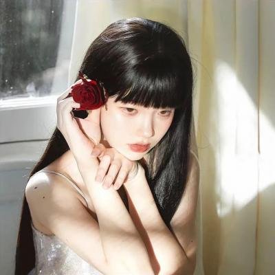 秘密使节